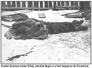 Leon si Teodor Susman, partizani anticomunisti din munti